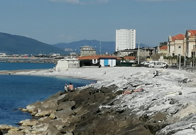 IMG_20220428_114010mie