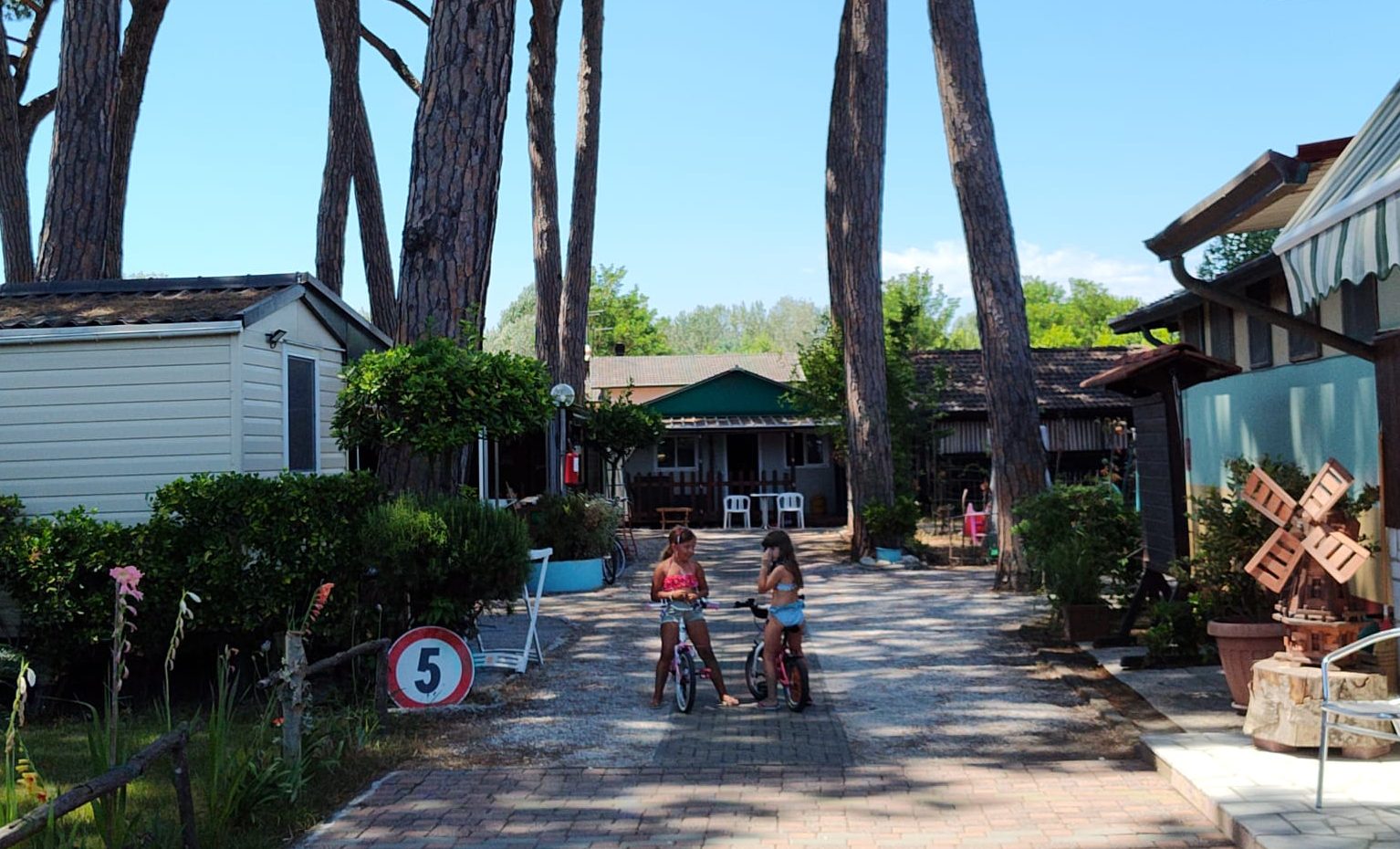 Parco Vacanze - Camping Edera - Loc. Partaccia - Marina di Massa