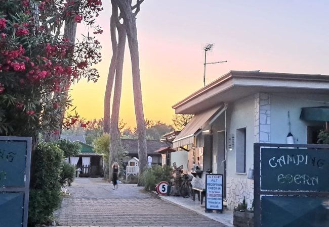 ingresso_camping_dal_cancello